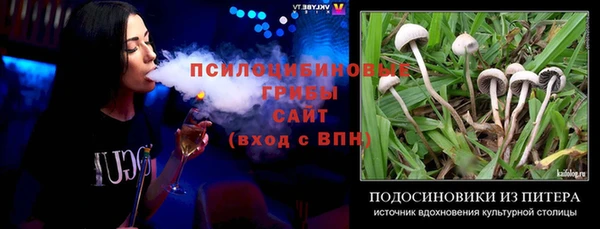 эйфоретик Медвежьегорск