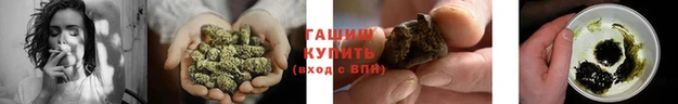 эйфоретик Медвежьегорск